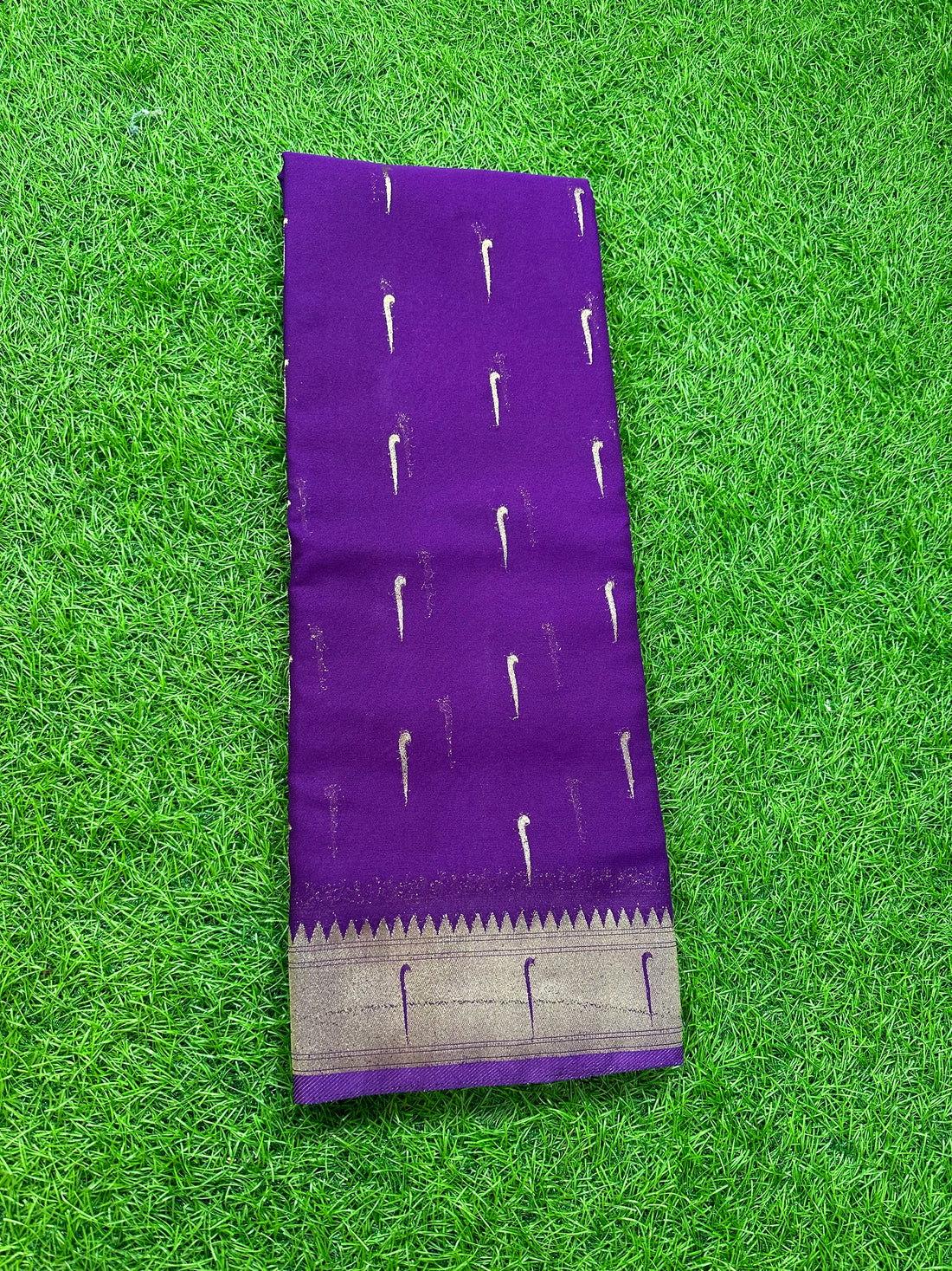 Purple Georgette Paithani border concept. With butta blouse.