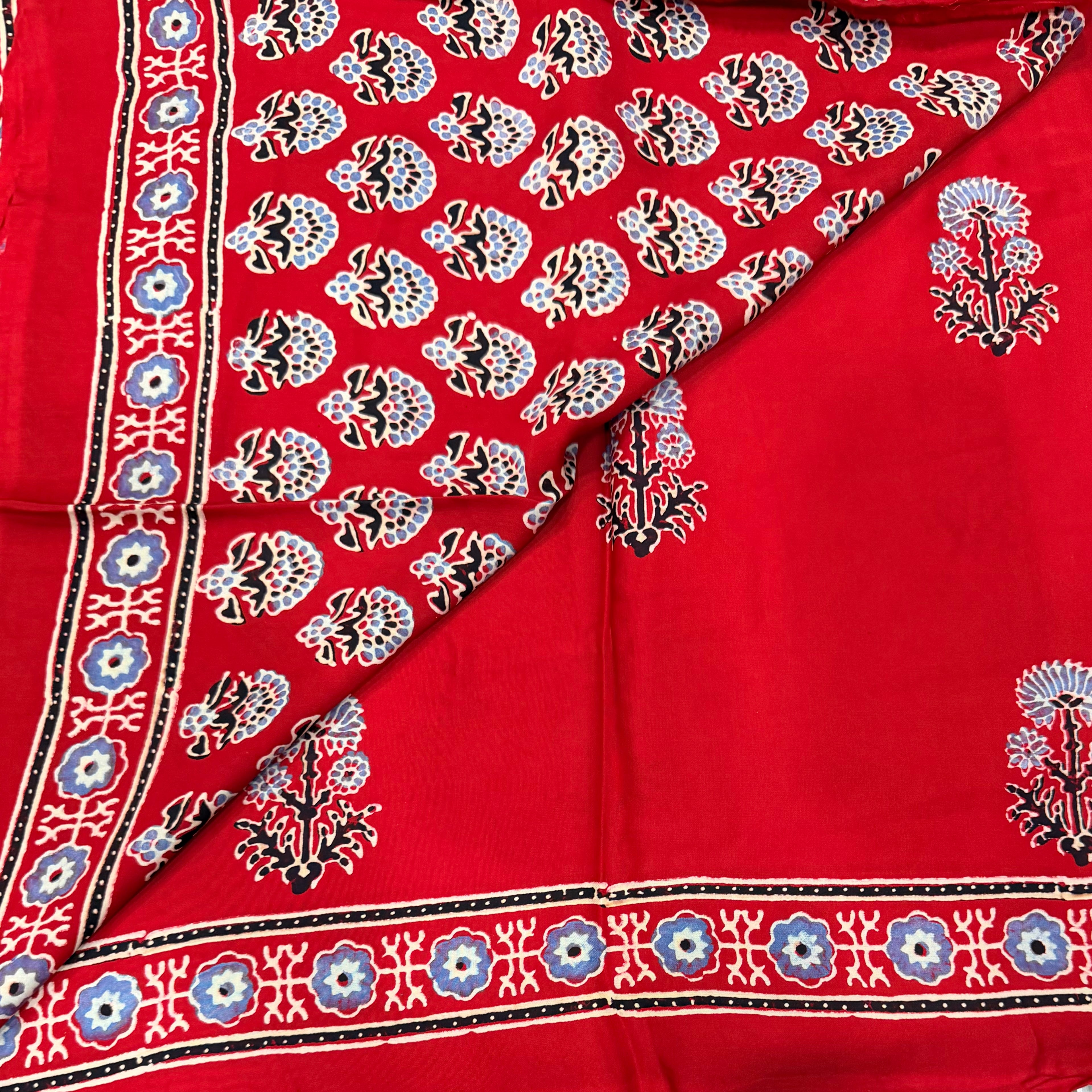 Bright Red pure Ajrak dola sarees
