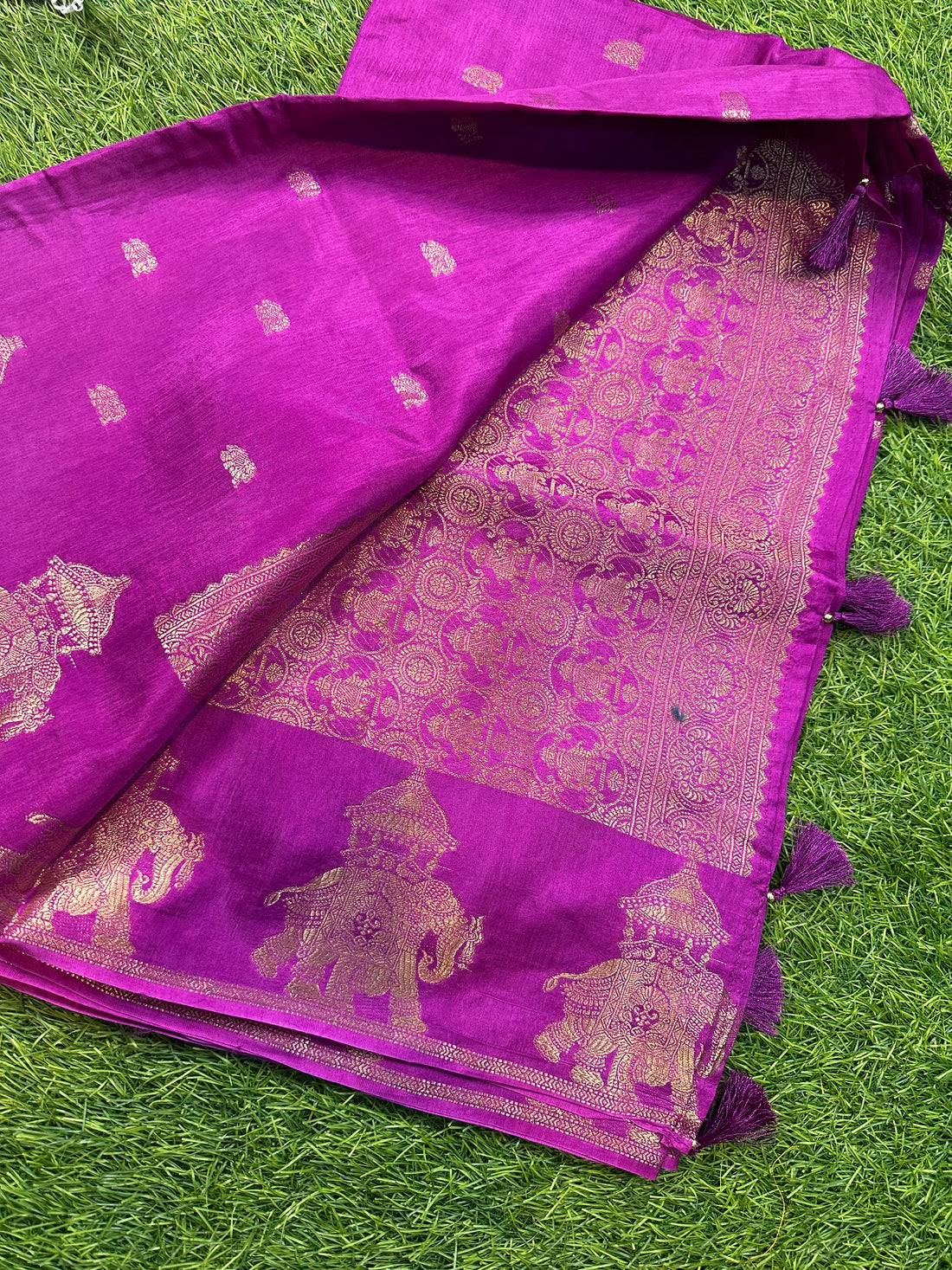 Dola silk in elephant border